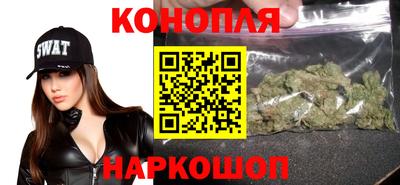 прущие грибы Тула