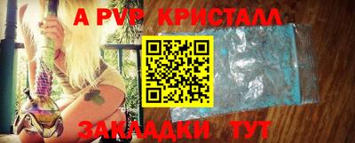 прущие грибы Тула