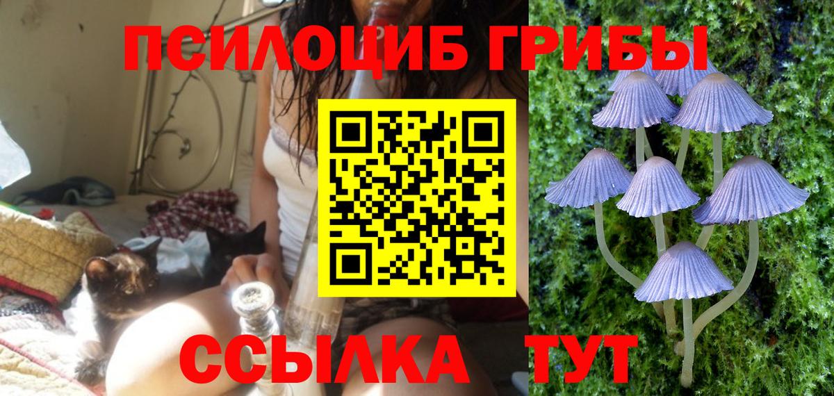 Псилоцибиновые грибы Psilocybine cubensis  Галлюциногенные грибы MAGIC MUSHROOMS  Миасс  Вход с VPN 